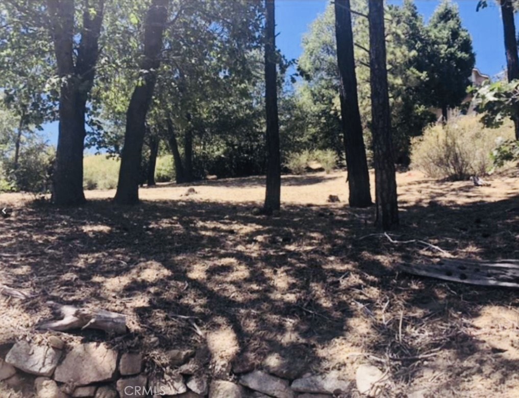 Cedar Glen (CEDG) - Land