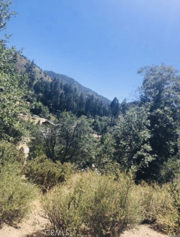 Cedar Glen (CEDG) - Land