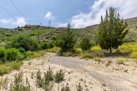 Photo of 3629 Center Street Street, Piru, CA 93040 (MLS # V1-31101)