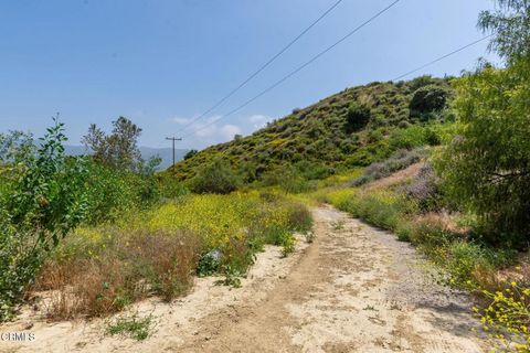 Tiny photo for 3629 Center Street Street, Piru, CA 93040 (MLS # V1-31101)