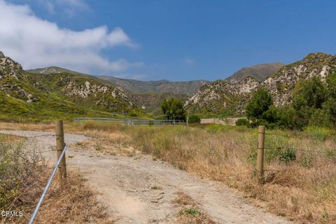 Tiny photo for 3629 Center Street Street, Piru, CA 93040 (MLS # V1-31101)
