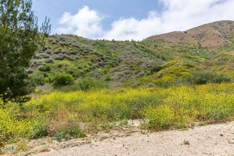 Tiny photo for 3629 Center Street Street, Piru, CA 93040 (MLS # V1-31101)