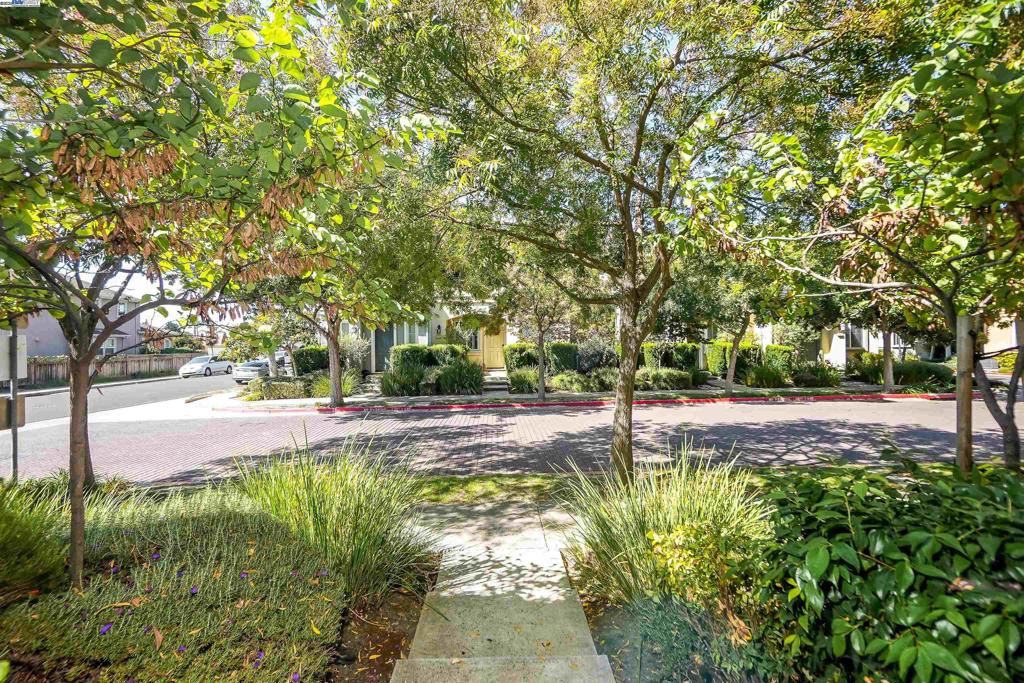 HAYWARD - Residential