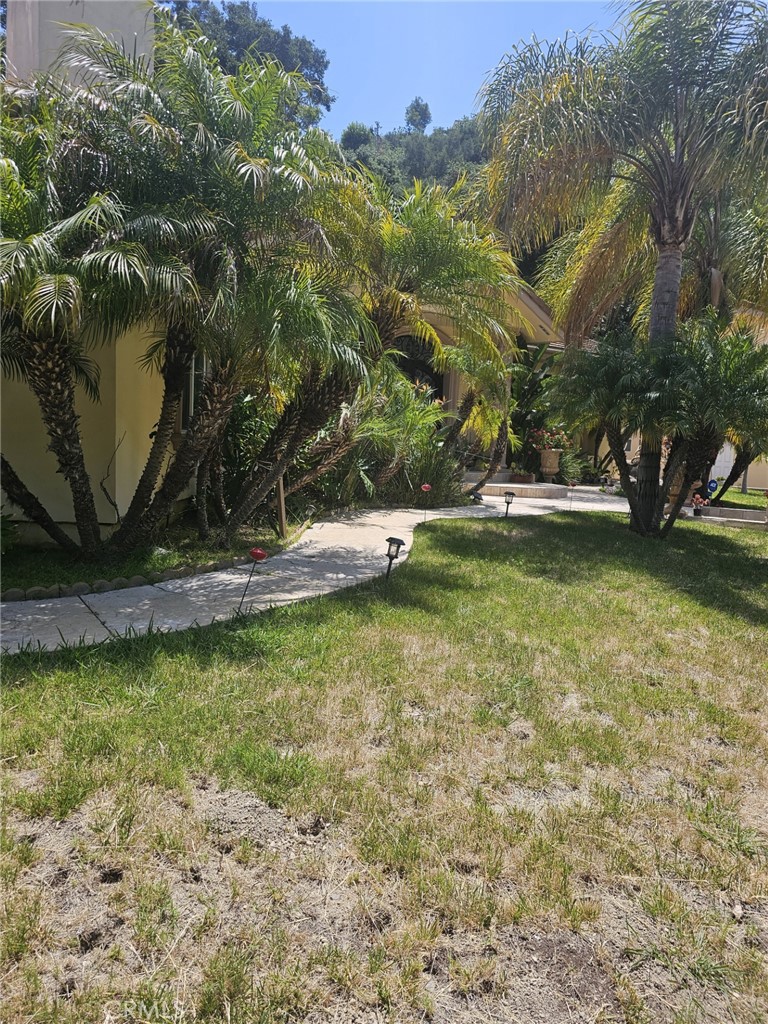 3946 Knobhill Drive