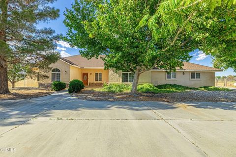 Photo of 8585 W Avenue E, Lancaster, CA 93536 (MLS # V1-36184)