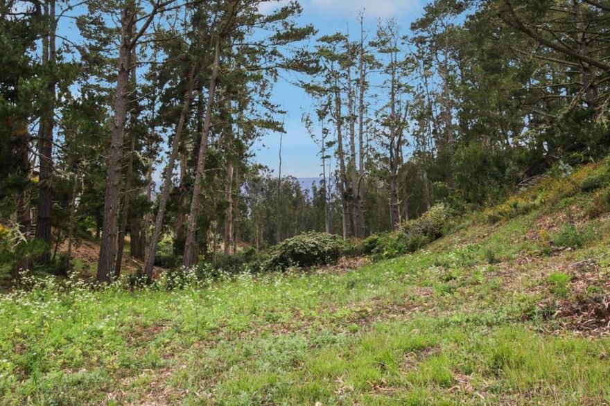 Build your dream home with a view of the Pacific Ocean in the gorgeous El Granada Highlands of San Mateo County! Experience the pleasure of coastal living in this quiet neighborhood with charming homes abutting Quarry Park and Rancho Corral de Tierra National Park. Hiking trails, Surfers Beach, and Pillar Point Harbor are all nearby. Great restaurants and shops are a few minutes away in downtown El Granada, Miramar, and Half Moon Bay. Easy access to Highway 1. Soil and survey reports available, as well as water connection through Coastside County Water District (CCWD). Buyers should do their own due diligence about the facts of the lot and are encouraged to contact San Mateo County Planning and Building Division directly with any questions.