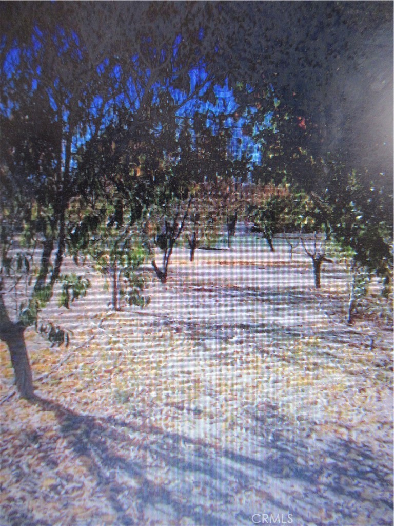 Carrizo Plains/California Valley(62) - Residential