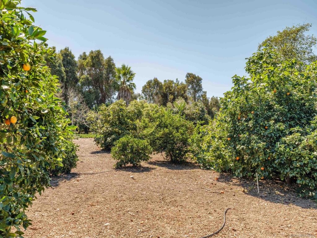 Rancho Santa Fe - Residential