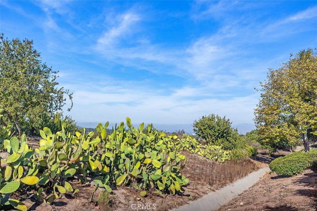 Other - Residential Lease