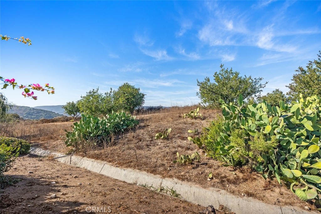 Other - Residential Lease