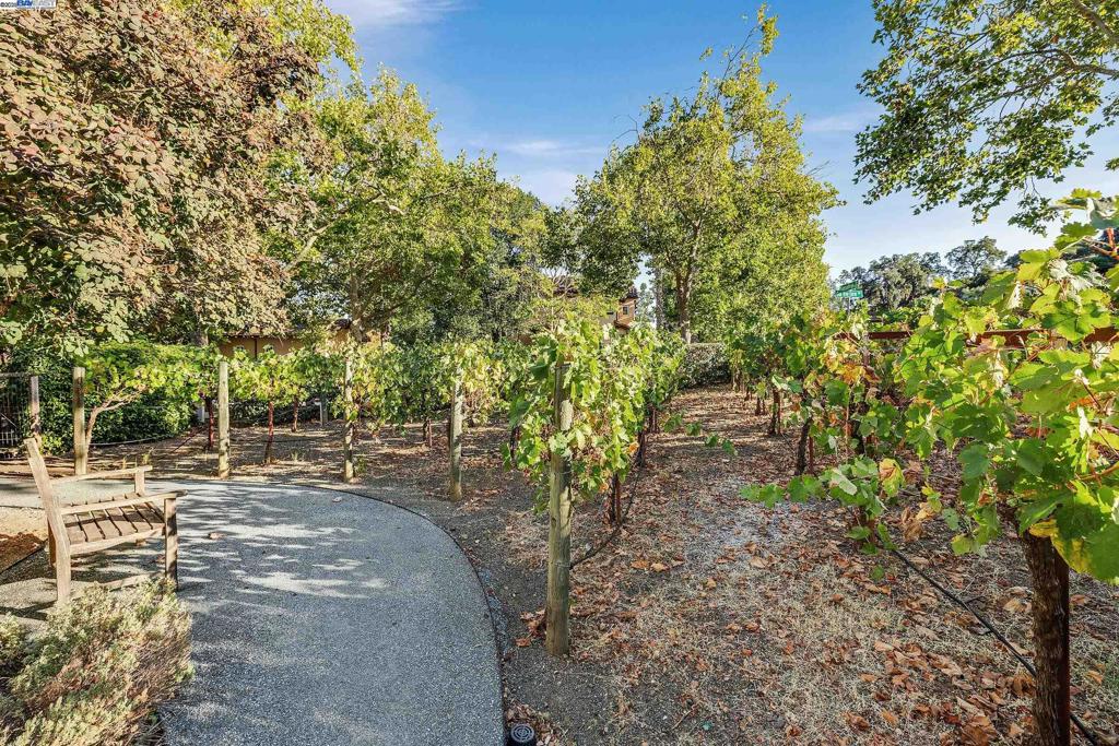 OAK TREE FARMS - Residential