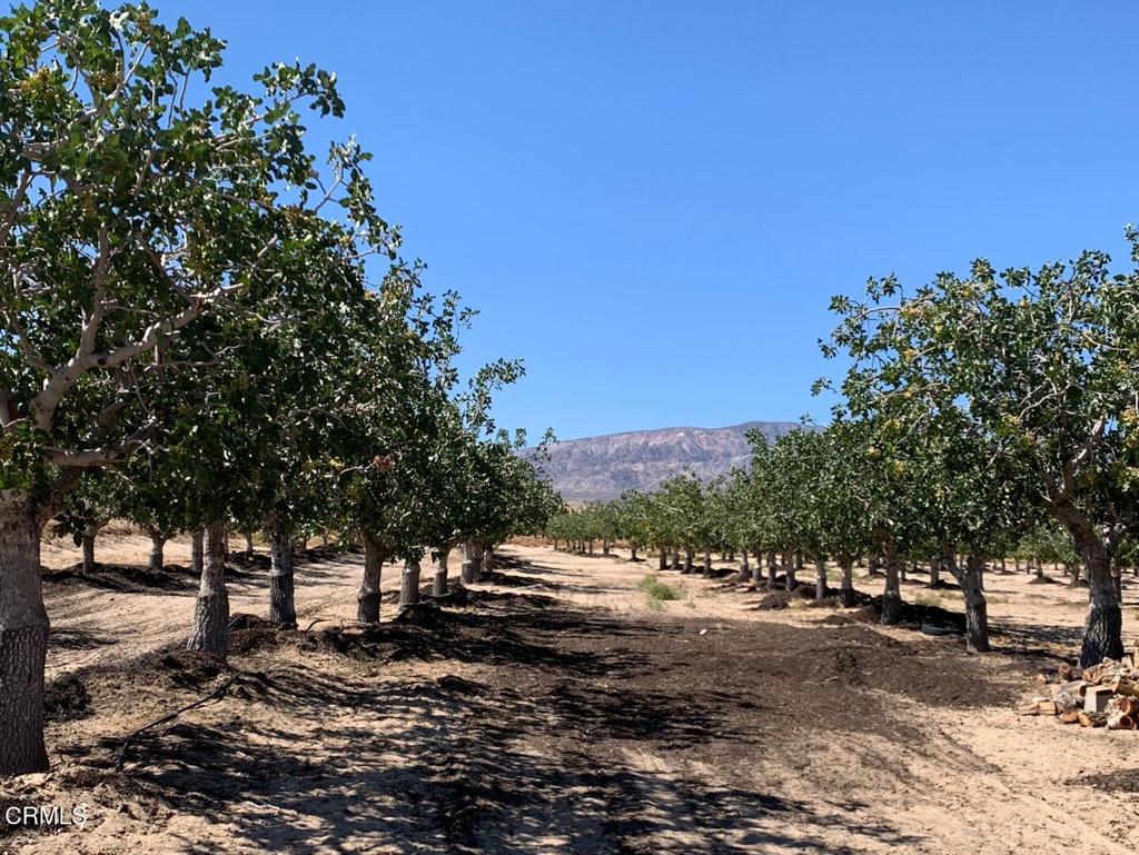 10080 Santa Fe Fire Road
