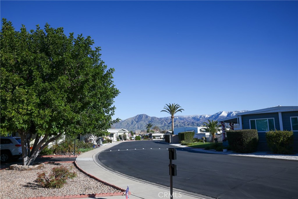 1251 E Lugonia Avenue 75