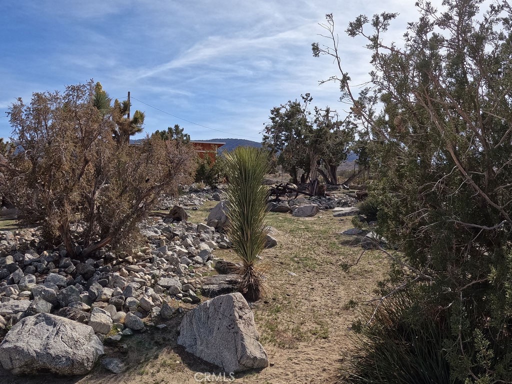 30000 Buchannon Ranch Road