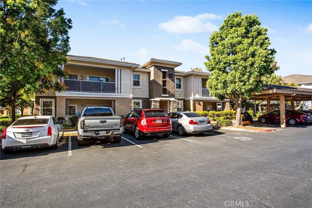 31256 Taylor Lane
