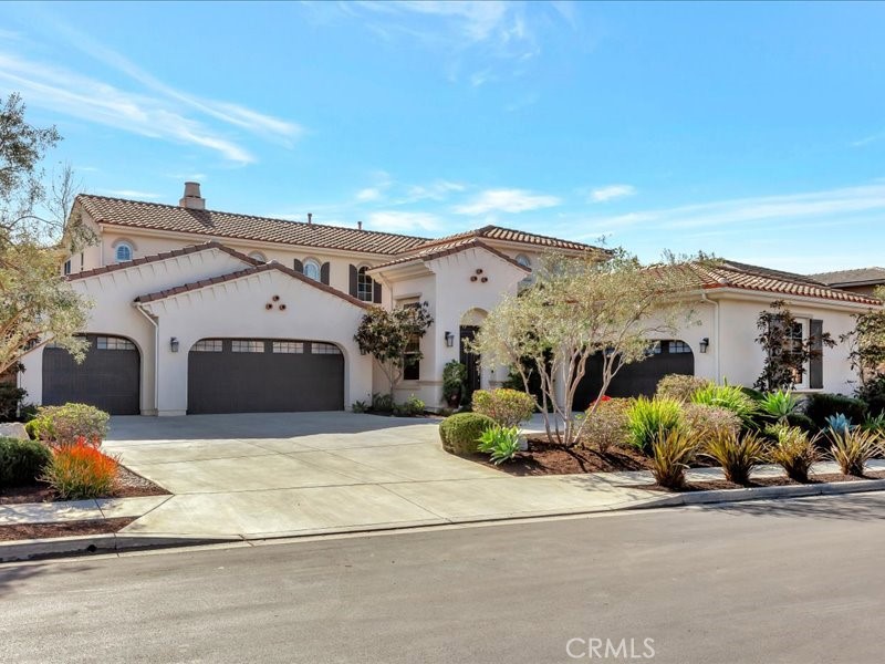 29310 Paseo Palmar