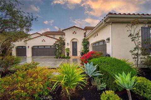 29310 Paseo Palmar San Juan Capistrano CA 92675