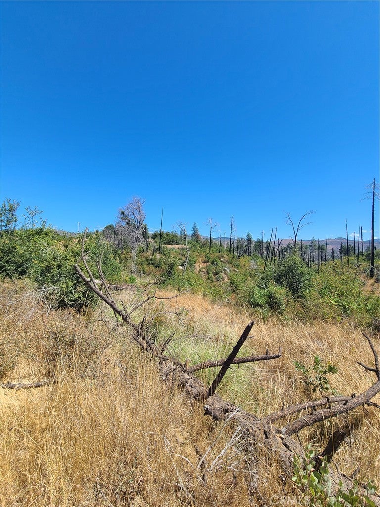0 HOG RANCH ROAD