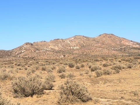 Photo of 0 Fisher Avenue, Rosamond, CA 93560 (MLS # SR26231391)