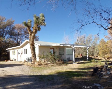 Photo of 4880 Bonanza Rd, Johnson Valley, CA 92285 (MLS # JT25264399)