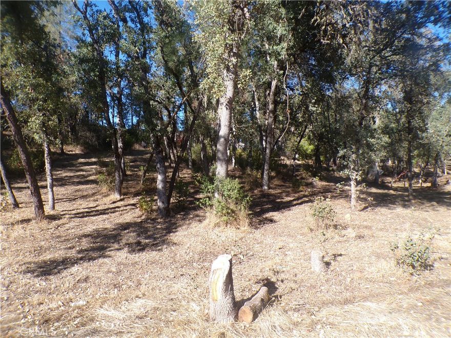 This nice buildable parcel of land is priced to sell. Located on a quiet street close to the lake, dining, shopping and more!