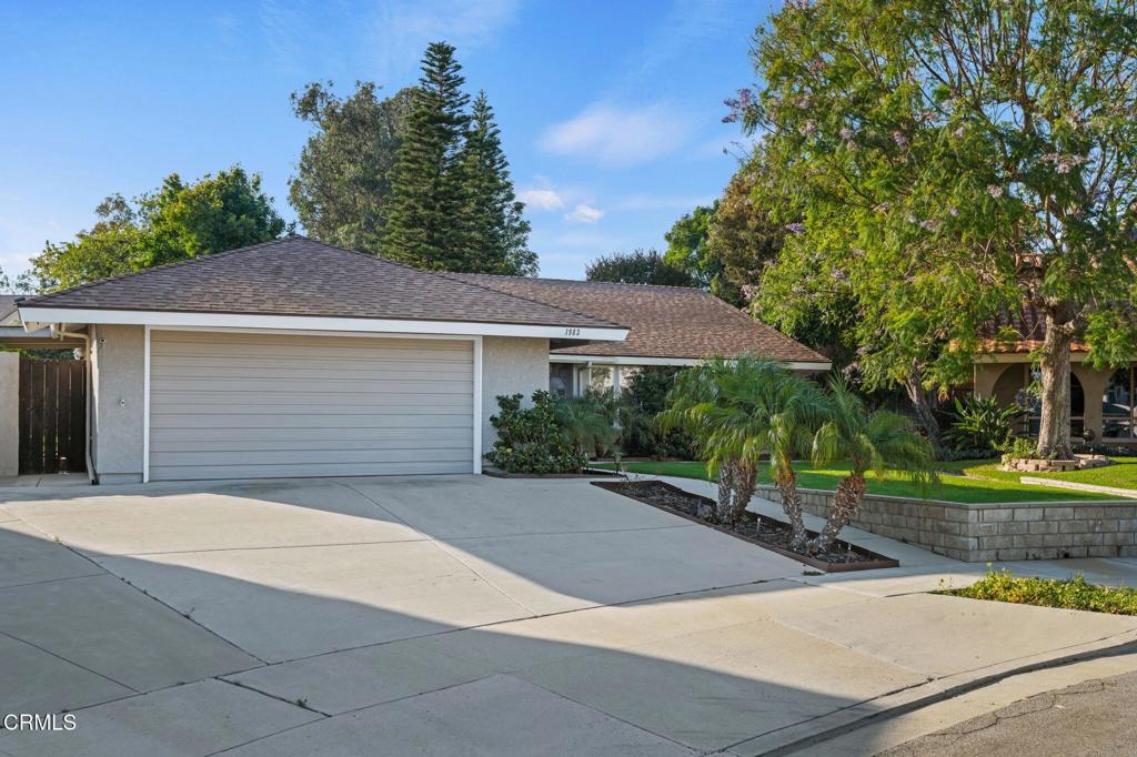 1983 Tiffany Court