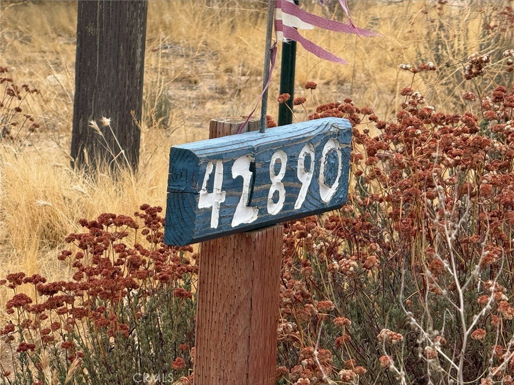 42890 tamatea