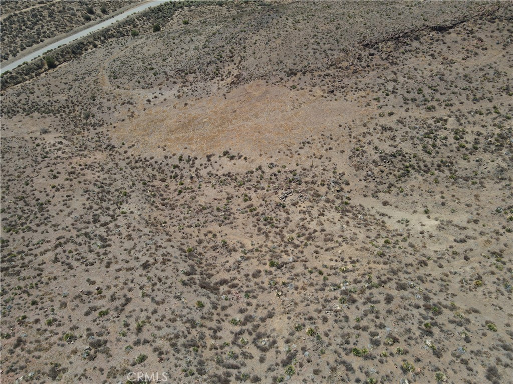 Custom Acton (CACTO) - Land