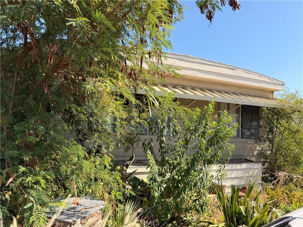 185 N Eucalyptus 89