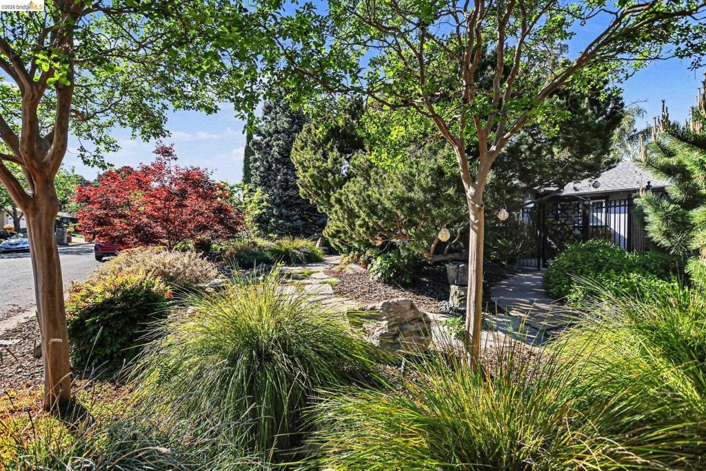 5849 Mitchell Canyon Ct