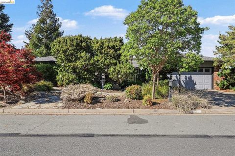 Photo of 5849 Mitchell Canyon Ct, Clayton, CA 94517 (MLS # 41127375)