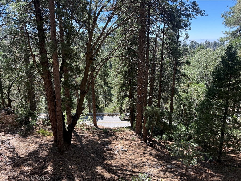 32375 Scandia Dr