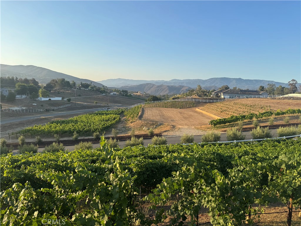 Welcome to your future estate in the heart of Temecula’s wine country! This prime 2-acre lot sits on one of the area's most desirable cul-de-sac streets, perfectly situated between the De Portola and Rancho California wine trails. You're just a short stroll—or quick golf cart ride—from some of the region’s most popular wineries and restaurants, including Leoness, Altisima, Oak Mountain, Lorenzi, Robert Renzoni, Fazeli, Wilson Creek, and Monte De Oro—all within a mile. Despite its peaceful, country setting, you're conveniently close to essential amenities like grocery stores, hospitals, Home Depot, Tractor Supply, and more—all within a 10-minute drive. Pechanga Resort & Casino is just 15 minutes away, and Old Town Temecula is only 20 minutes out.
The property is truly build-ready with a 20,000 sq. ft. certified building pad, a fully installed 1” water main with all Rancho Water District fees paid, and an established 3-year-old vineyard with over 1,400 Petite Sirah grapevines on certified 1103P rootstock. It’s zoned RA2.5, which permits a single-family home along with an ADU and junior ADU, and also allows for light agriculture and horses. There's no HOA, giving you full freedom to create the dream property you envision. The lot features a paved road to the top with curbs and a driveway cut-in, professionally landscaped roadside frontage with 19 mature olive trees, a block retaining wall that can be modified or reused, and erosion control with riprap and 2” rock at the entrance to keep the site stable during construction. Whether you're dreaming of a luxury vineyard estate or a peaceful retreat, this rare opportunity has everything you need to bring your vision to life.