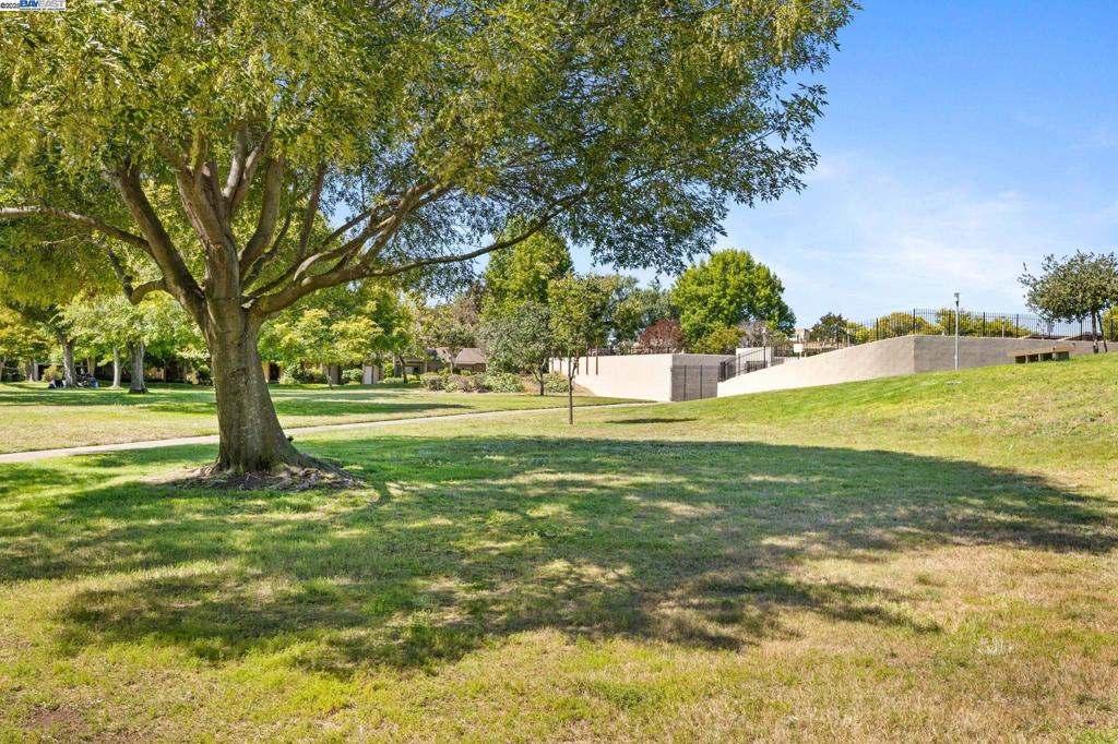 BAY FARM ISLAND - Residential