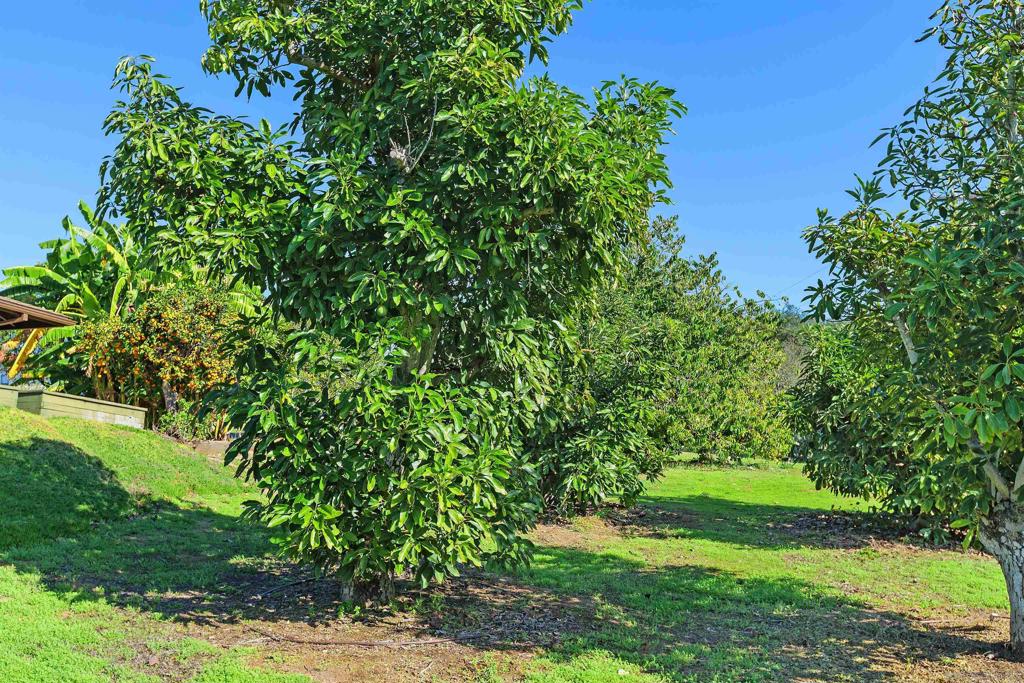 Fallbrook - Residential