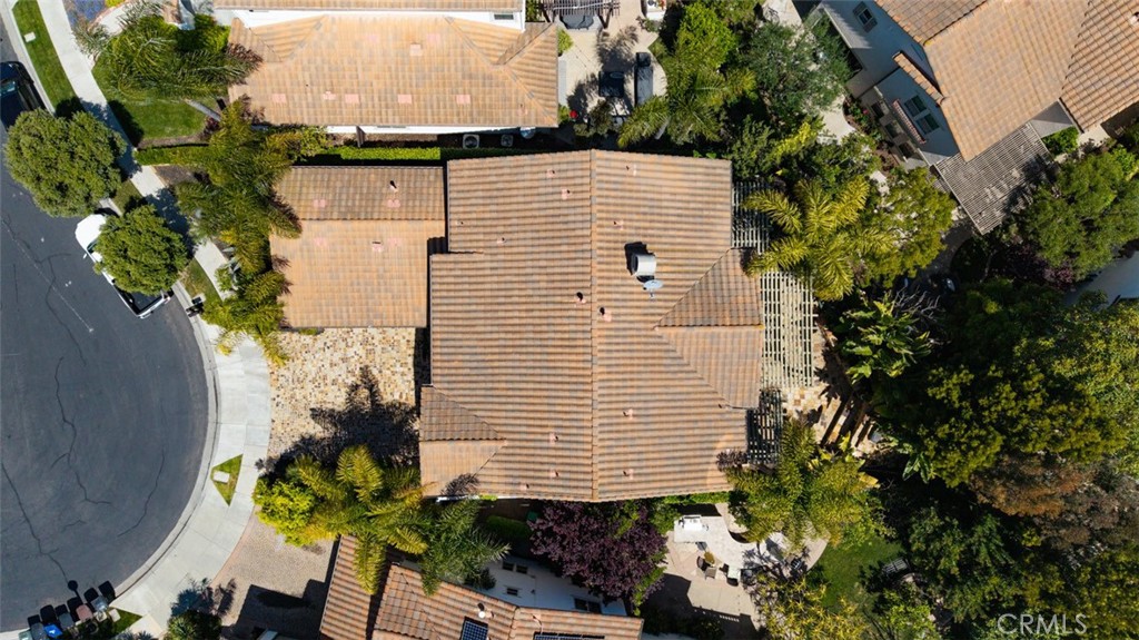 Catania (CATN) - Residential Lease