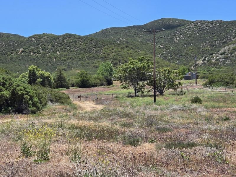 36255 Grapevine Canyon Road