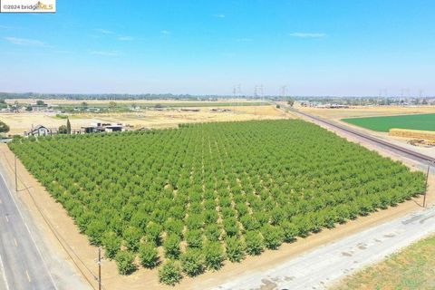 3870 Orwood Rd Brentwood CA 94513