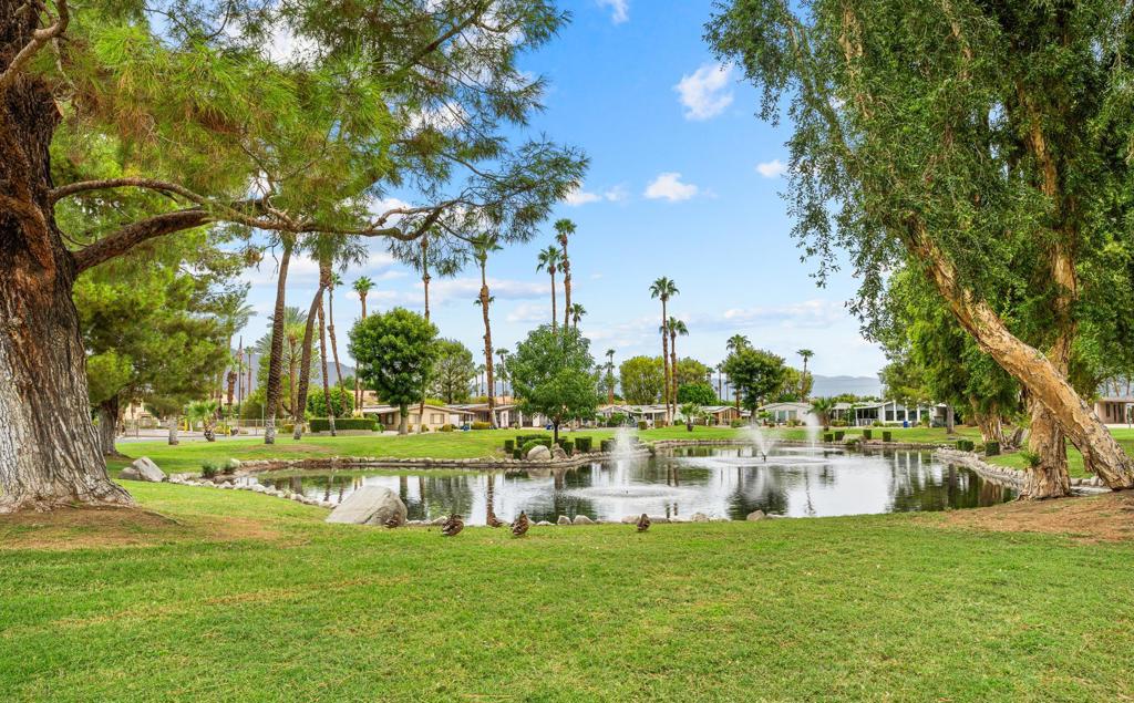 The Canyon - Manufactured In Park