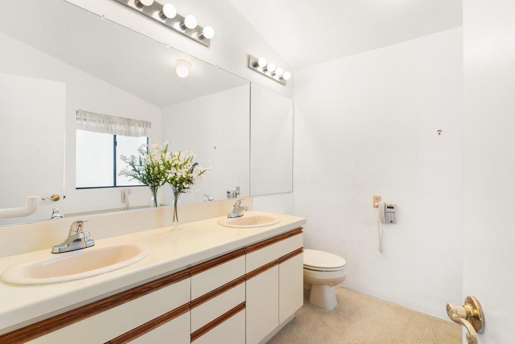 The Canyon - Manufactured In Park