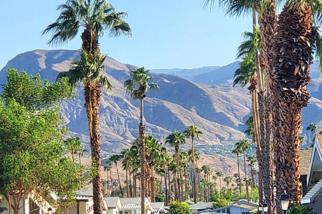 The Canyon - Manufactured In Park