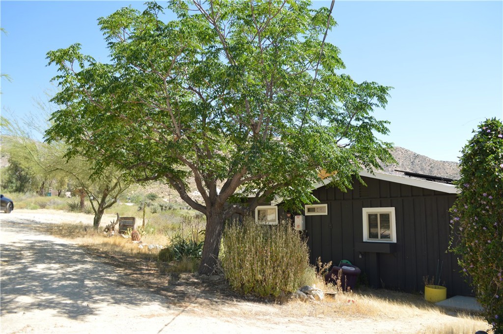 10225 Pinon
