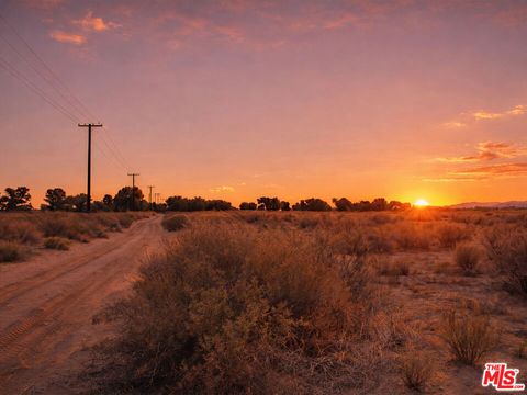 Photo of 0 TH Ave R14 Vic 147th Ste, Sun Village, CA 93543 (MLS # 26659547)