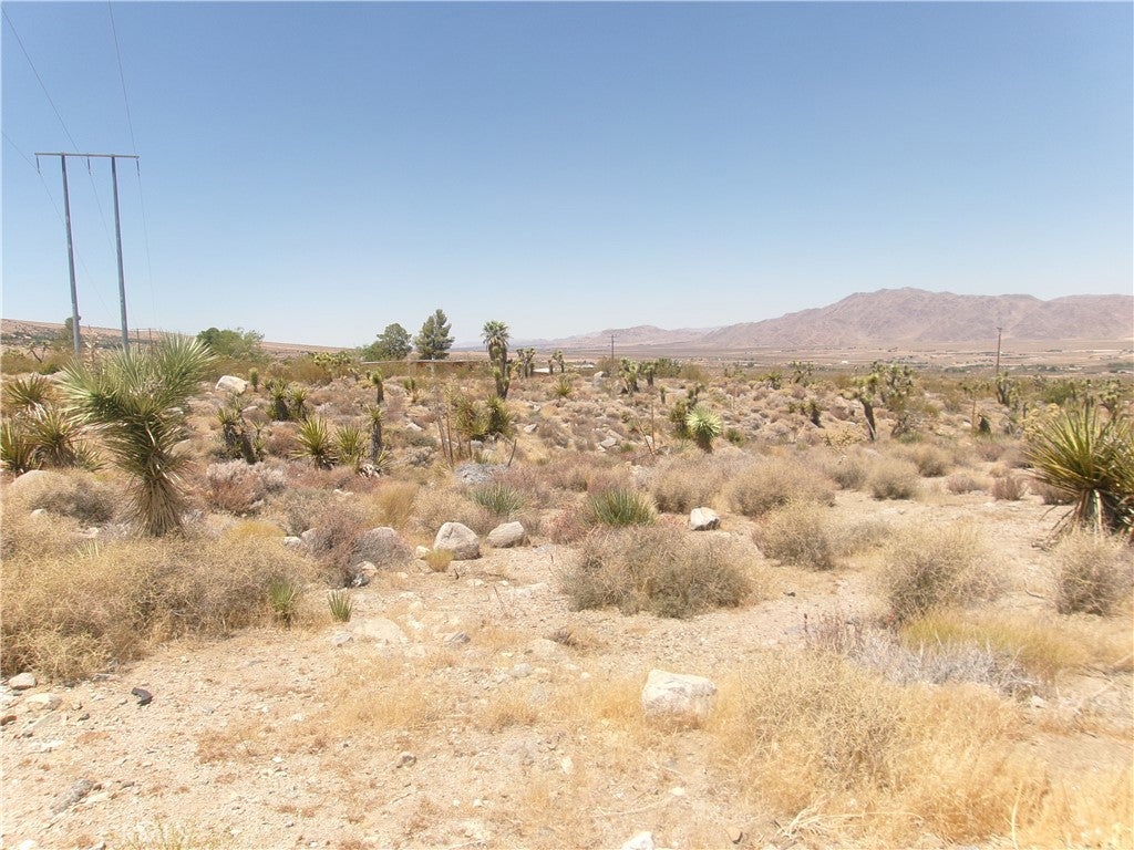 8020 MILLER RANCH Road