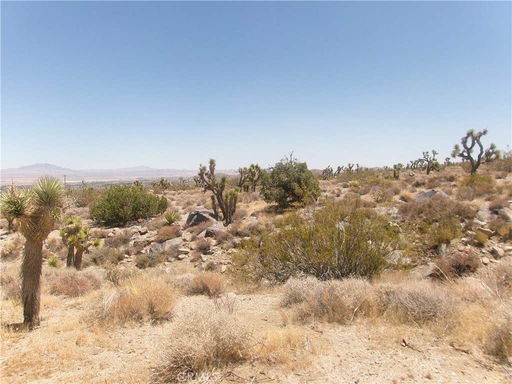 11.54 ACRES with incredible views all the way around, this 11.54 ACRE property has recently been assigned an address from San Bernardino county and has been cleared and zoned for HEMP cultivation, ONE OF VERY FEW in the lucerne valley area! property is very rural but still accessible from power line rd, right off of High rd, which is one of the most desirable areas in the valley, located near the railroad tracks AND has power poles lining the south side of property, THIS PROPERTY IS ONE OF A KIND and is subject to sell quickly!