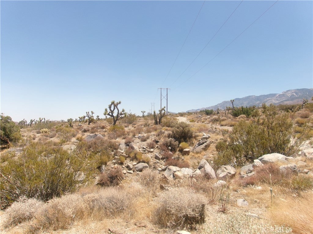 8020 MILLER RANCH Road