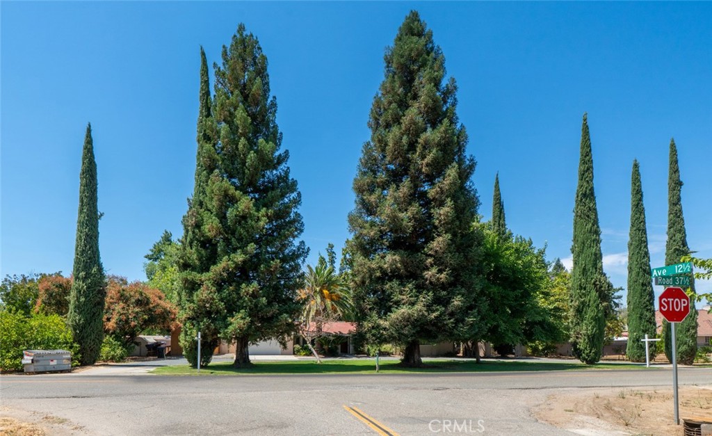 Exclusive Madera Ranchos Square, priced to sell! This property features 1 acre, pool, owned solar, public water system, 4 bedrooms, 3 full baths, granite counters, Tile roof, fireplace, and is fully landscaped with mature trees, including avocados, lemons, peaches, grapes, pomegranates, and figs. Enjoy a huge entertaining area, a 40X14 shop, 4 she-sheds, circular driveway. Super peaceful, Great School District.