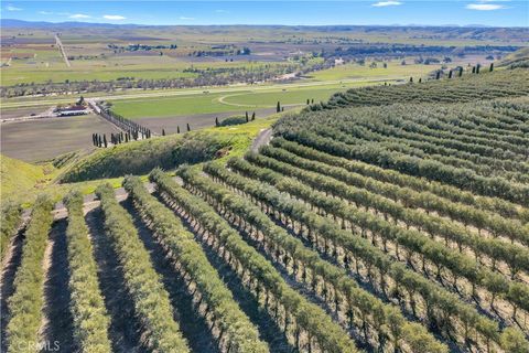 Tiny photo for 1990 E 46, Shandon, CA 93461 (MLS # SC25273793)