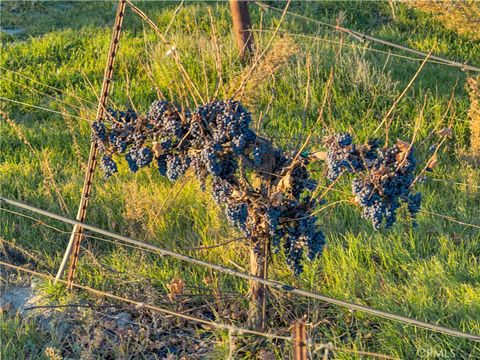 Tiny photo for 1990 E 46, Shandon, CA 93461 (MLS # SC25273793)