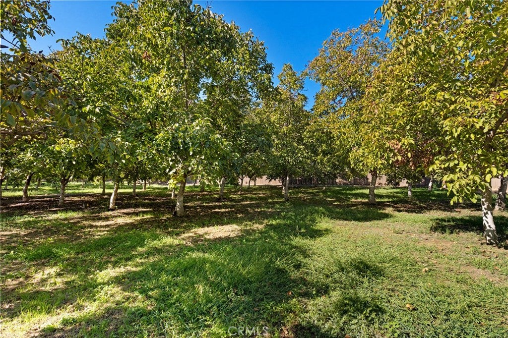 3720 Cosby Avenue